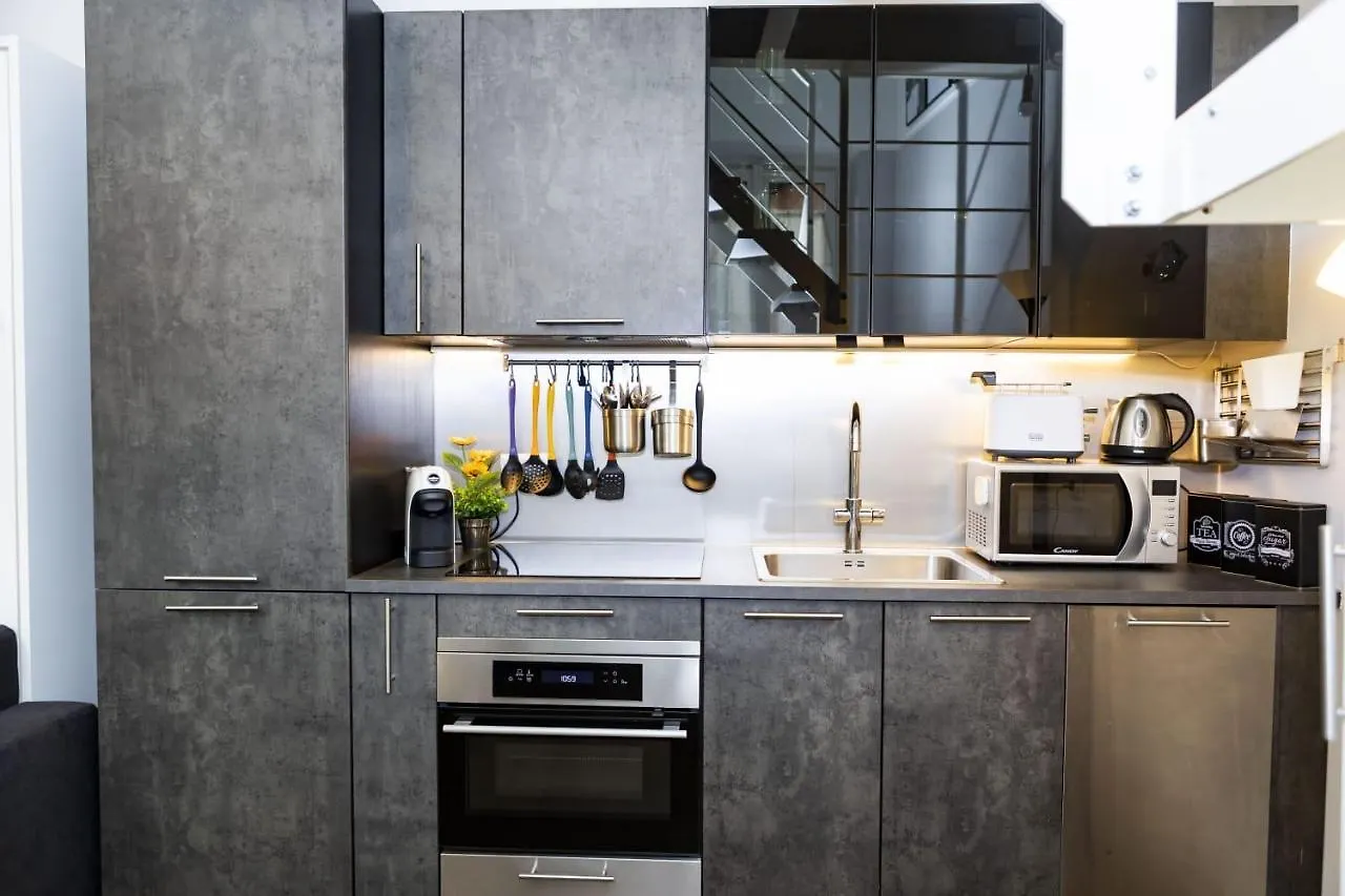 Disciplini Duplex Apartment Milan